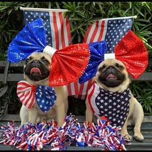 Meet your Posher, Erroll anne